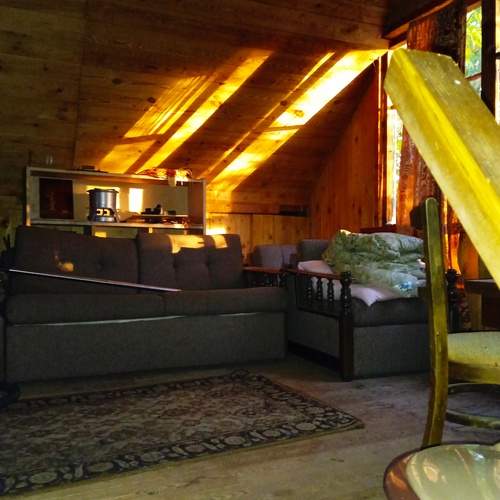 Photo #13483806