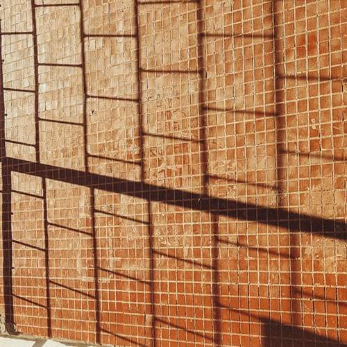 Photo #13483842