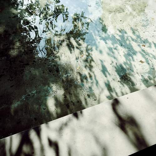 Photo #13483894