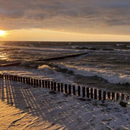 Фотография #13483998