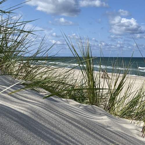 Фотография #13483999