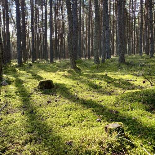 Фотография #13484002