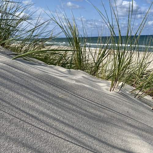 Фотография #13484006