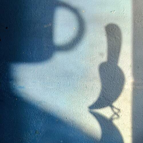Photo #13484018