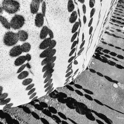 Photo #13484031