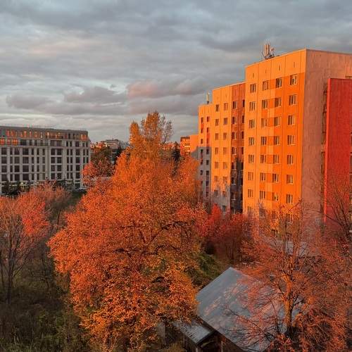 Photo #13484288