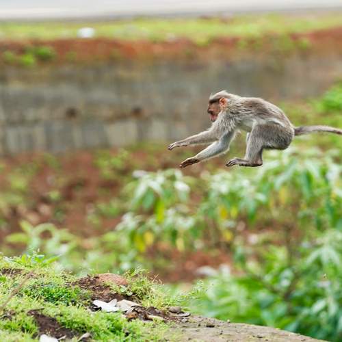 Photo #13484321