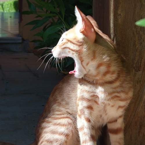 Photo #13484367