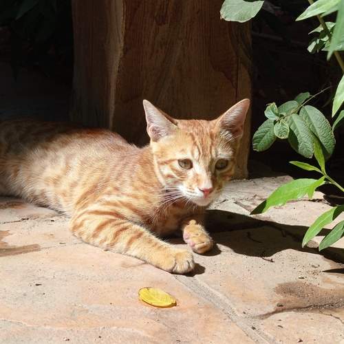 Photo #13484382