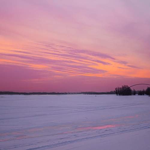 Photo #13484527