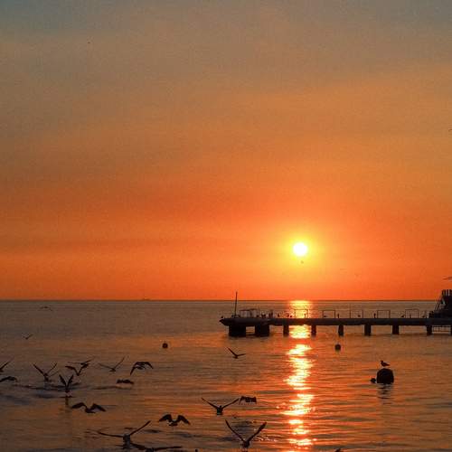 Photo #13484599