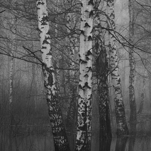 Photo #13484688