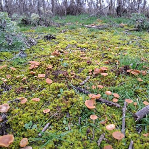 Photo #13484733