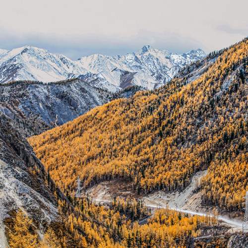 Photo #13484791