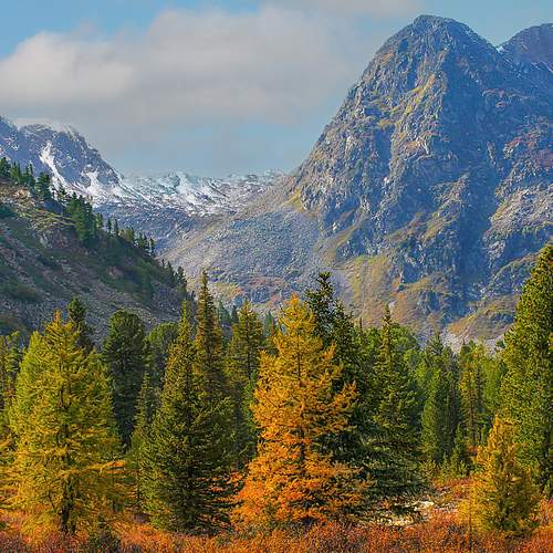 Photo #13484795