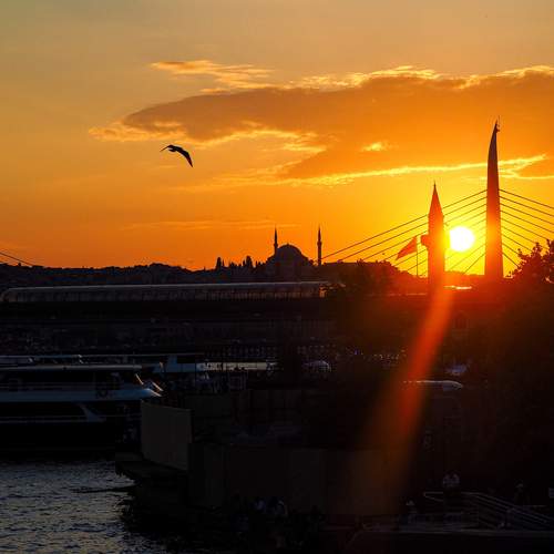 Photo #13485020