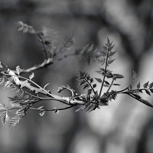 Photo #13485315