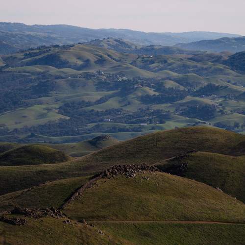 Photo #13485680
