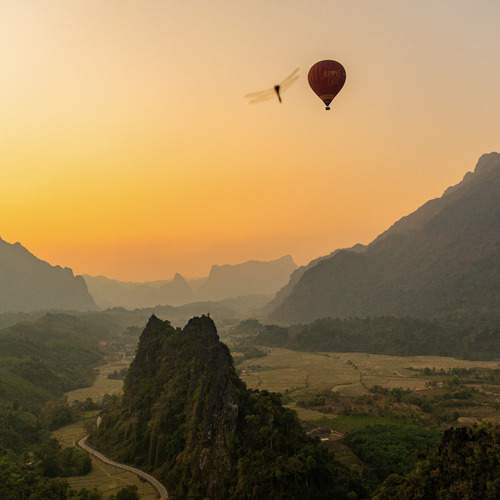Photo #13485703