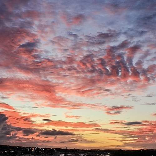 Photo #13485855