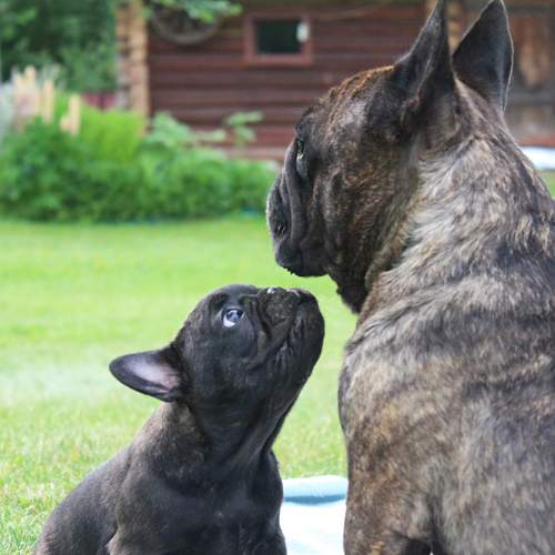 Photo #13485903