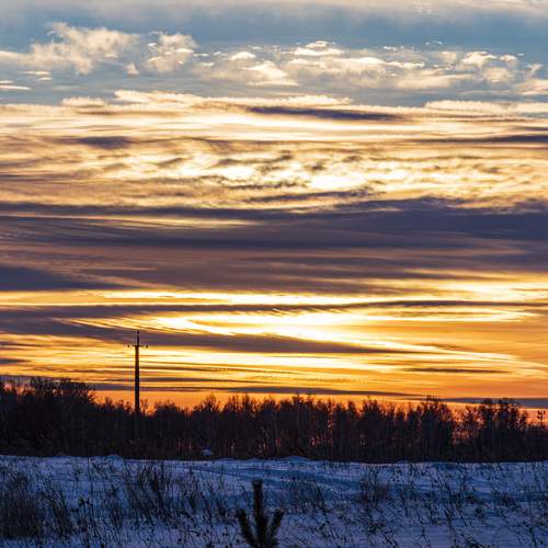 Photo #13485909