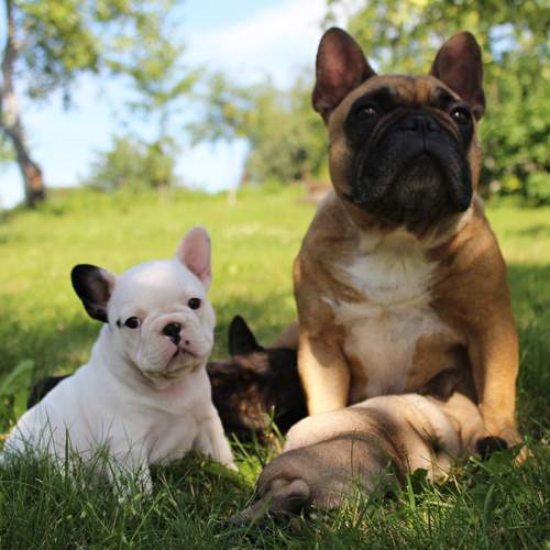 Photo #13485927