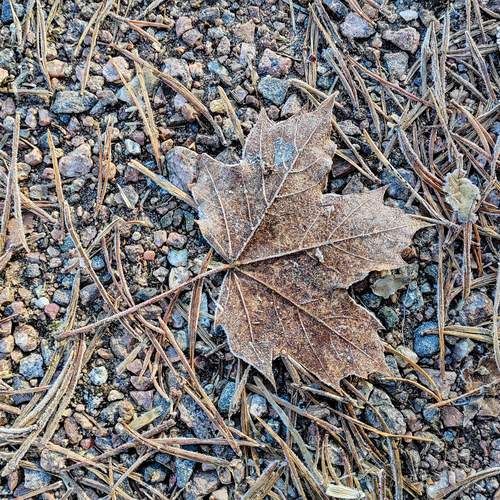 Photo #13486027