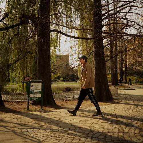 Photo #13486310