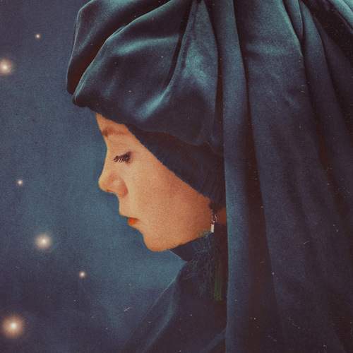 Photo #13486521
