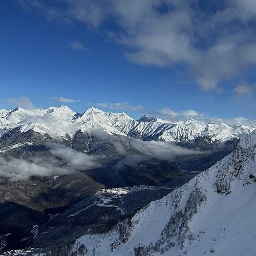 Photo #13486559