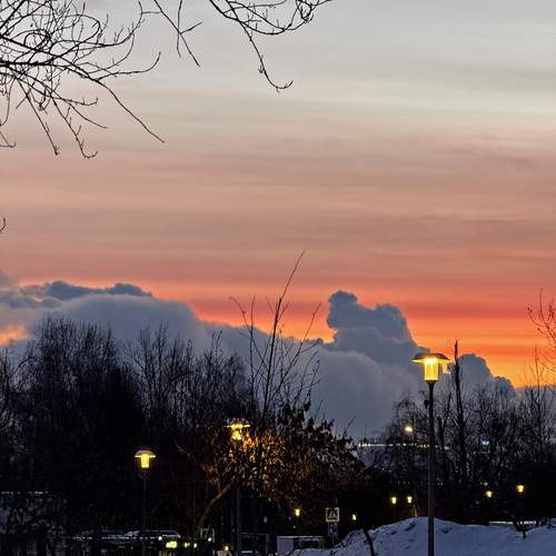 Photo #13486569