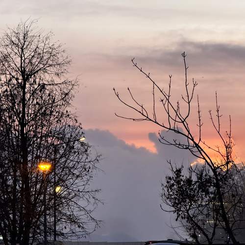 Photo #13486570