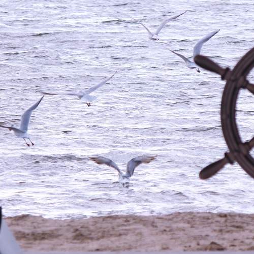 Photo #13486594