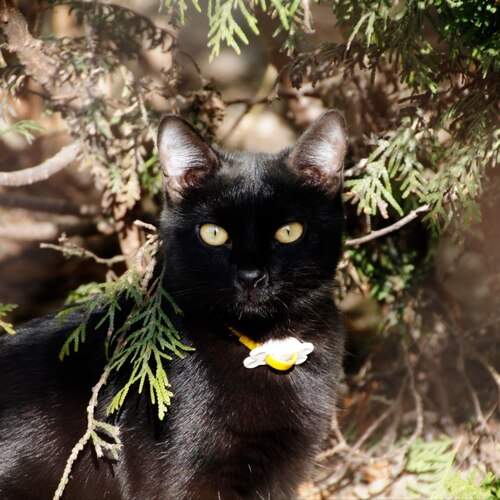 Photo #13486623