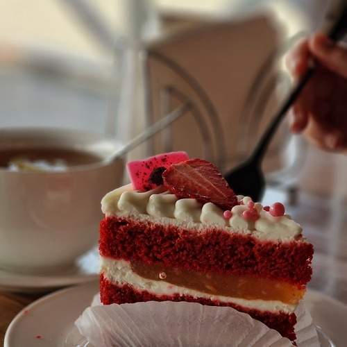 Photo #13486664