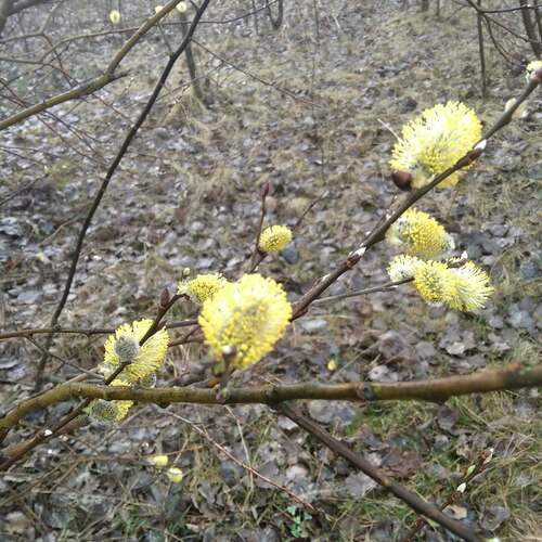 Photo #13486667