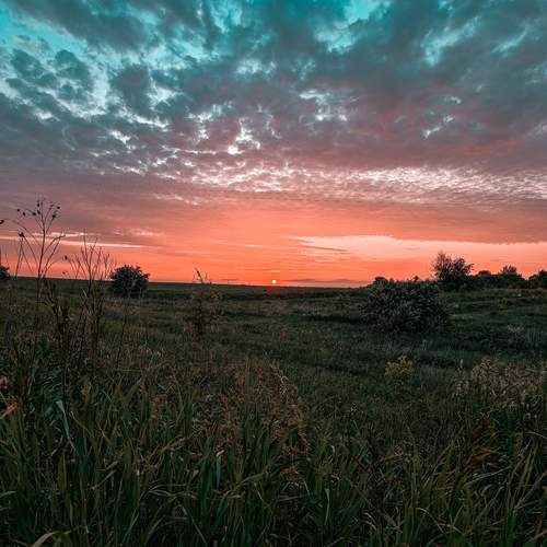 Photo #13486714