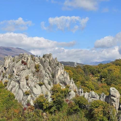 Photo #13486719