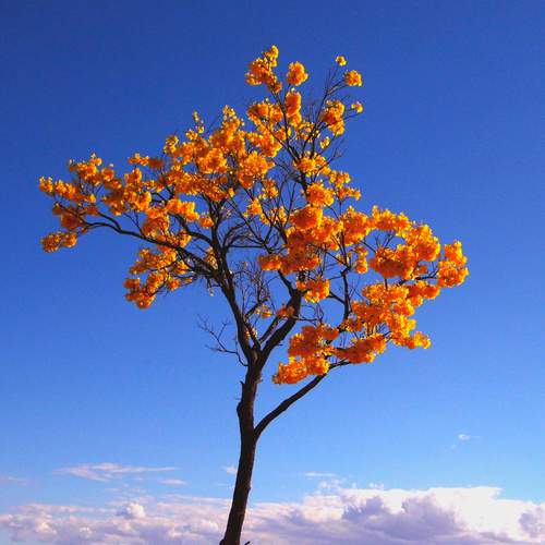 Photo #13486758