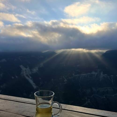 Photo #13486859
