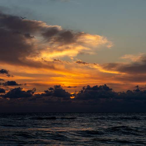 Photo #13487063