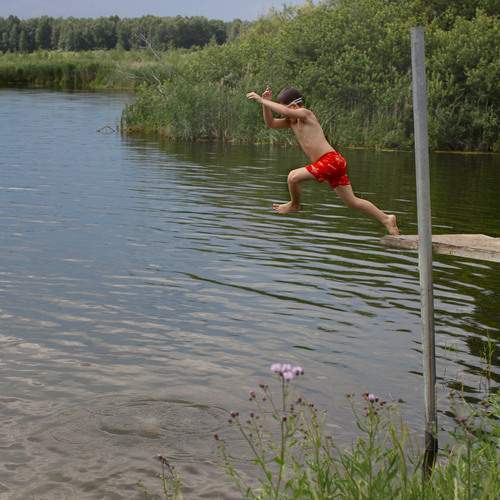 Photo #13487167