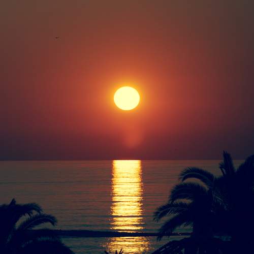 Photo #13487328