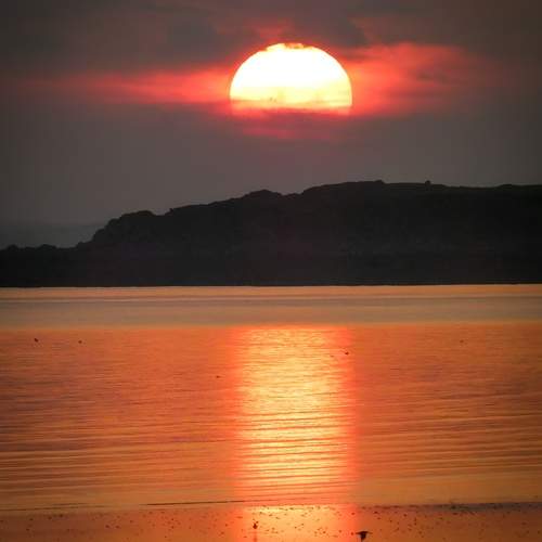 Photo #13487330