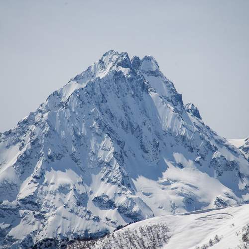 Photo #13487601