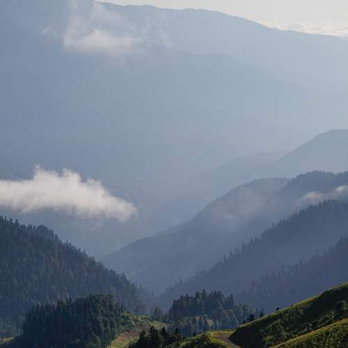 Photo #13487607