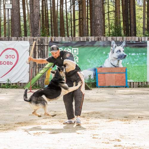 Photo #13487762