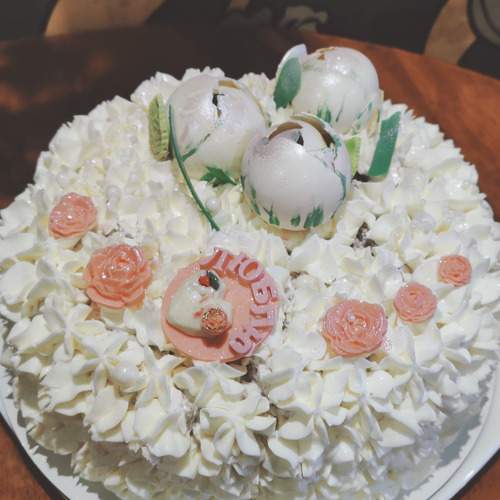 Photo #13487765