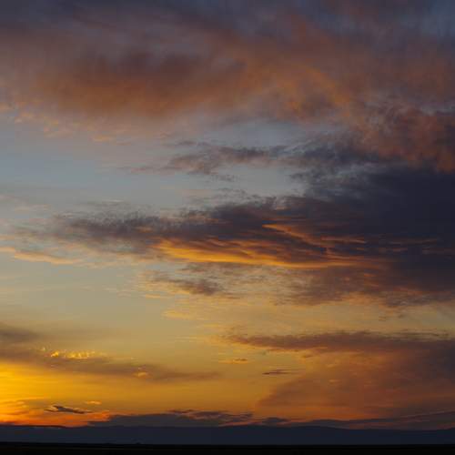 Photo #13487870